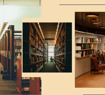 Worldwide Bookstore Recommendations Every Reader Needs